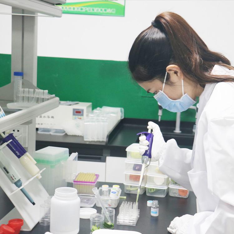 食品安全检测05