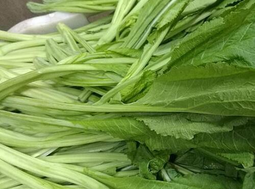 蔬菜品种：春菜