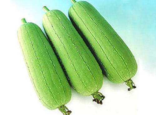 果蔬配送：丝瓜