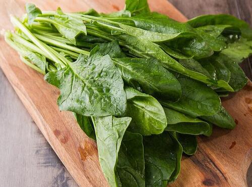 蔬菜品种：菠菜