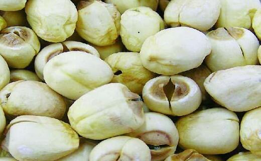 配送品种：莲子