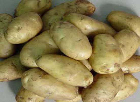 粮油类配送：深圳土豆批发