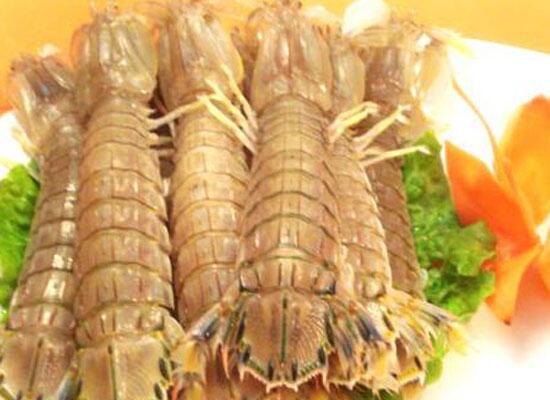 鲜活水产类：濑尿虾/皮皮虾