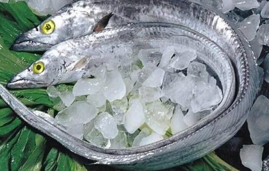 新鲜海产：冰冻带鱼