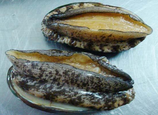 新鲜海产：生猛海鲜