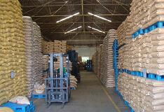 深圳大型粮食储存库