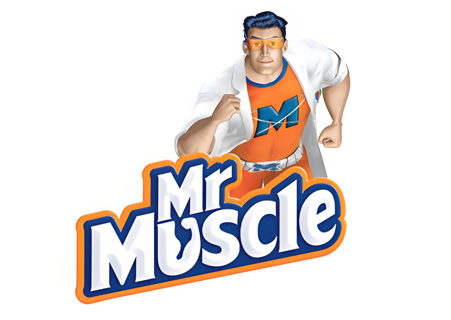 上海庄臣有限公司(威猛先生)