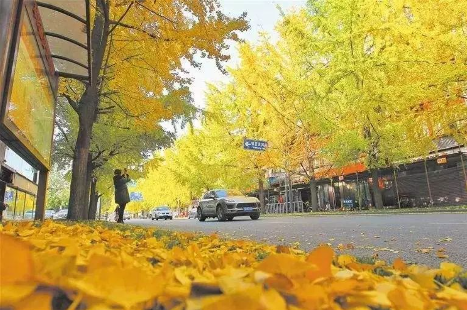 深圳农产品配送中心浅谈老年人秋季如何保健