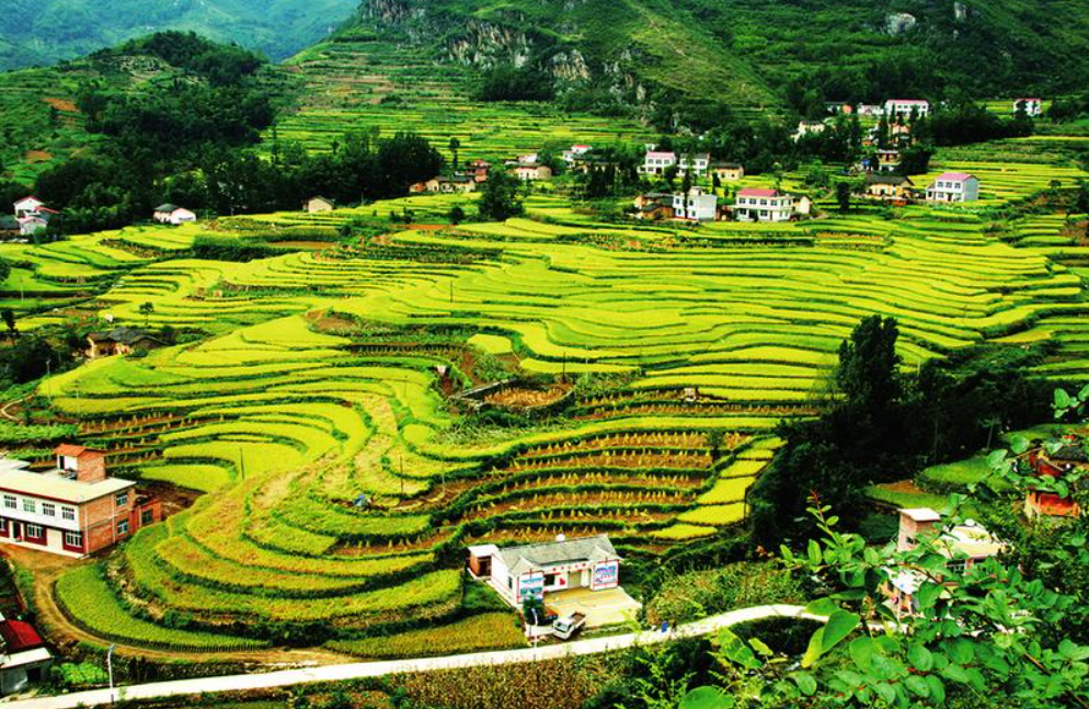 惠州蔬菜配送中心分享报道:陕西为改善农村人居环境持续发力