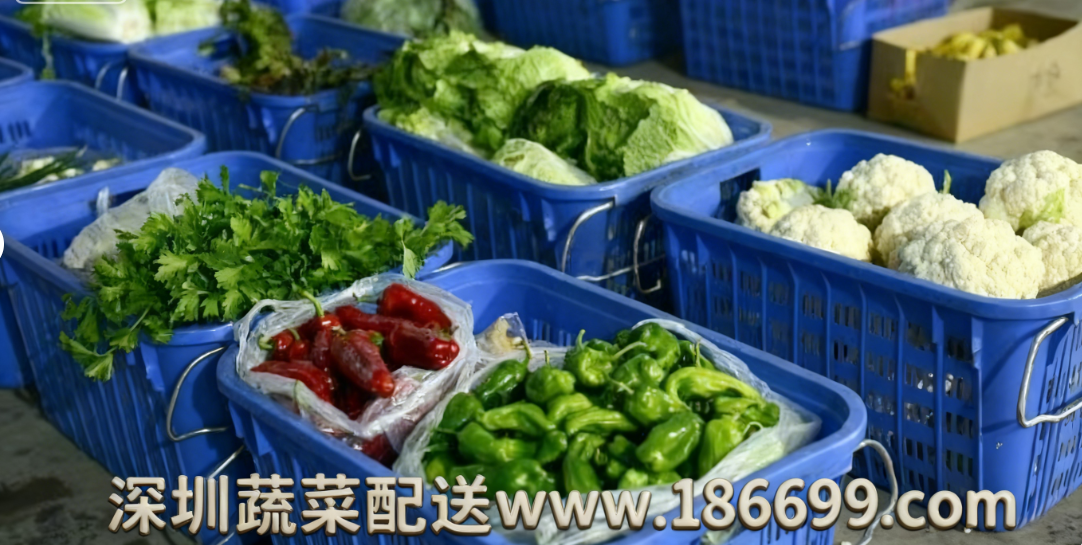 深圳食堂蔬菜配送为何选择佳惠鲜蔬菜配送中心?