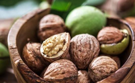为什么核桃被称为“长寿果”?东莞生鲜食材配送中心告诉你