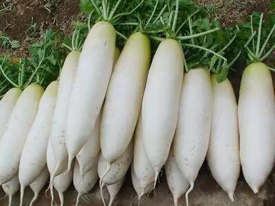 1760089661.jpg tupian_bailuobo3 (1).jpg