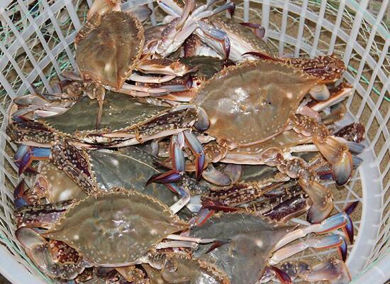 1760256848.jpg tupian_shengmeng2.jpg