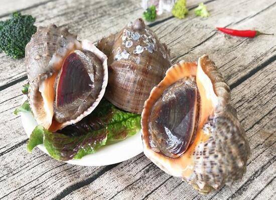 1760256853.jpg tupian_shengmeng3.jpg