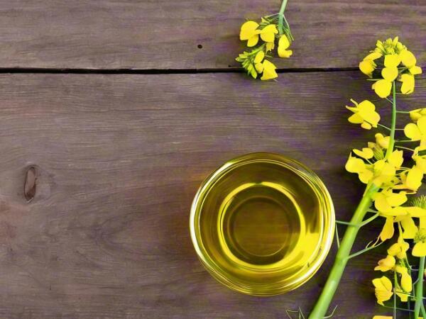 菜籽油凝结成块了还能吃吗