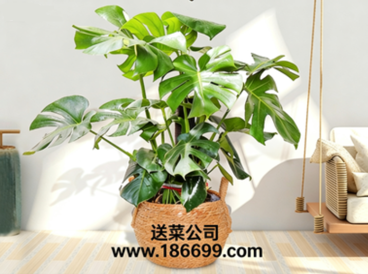 1765373966.png 微信图片_20251210210001_184_3.png