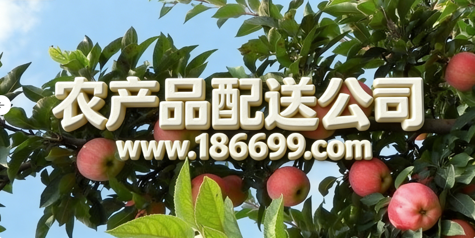 1765630782.png 微信图片_20251213204600_29_967.png