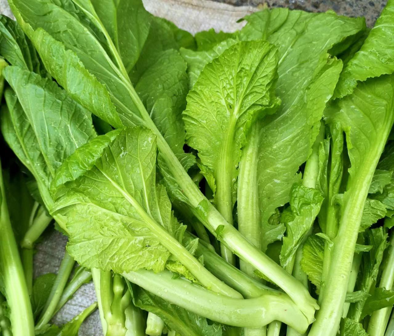 深圳蔬菜配送公司科普:为什么冷冻蔬菜不宜反复解冻冷冻?