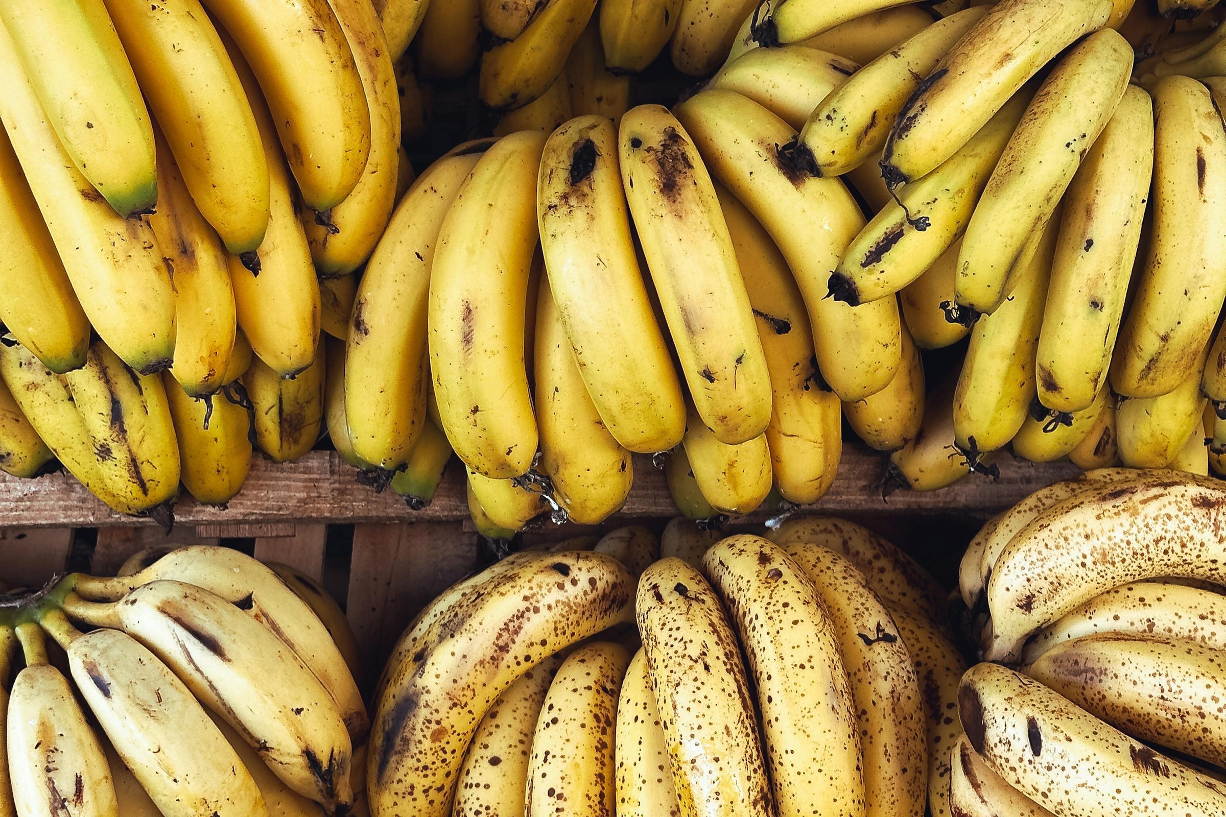 香蕉和芭蕉是同一种水果吗？