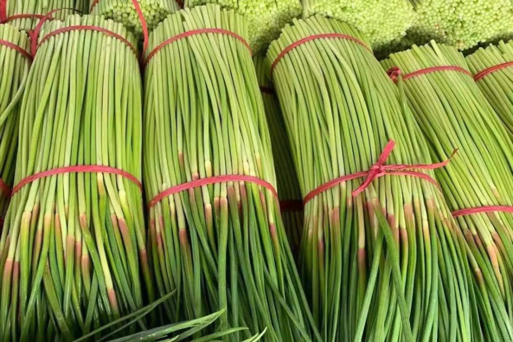 1771422958.png 蒜薹3.png