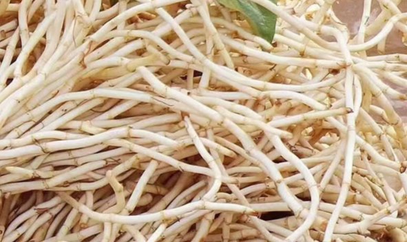 1772898378.png 折耳根.png